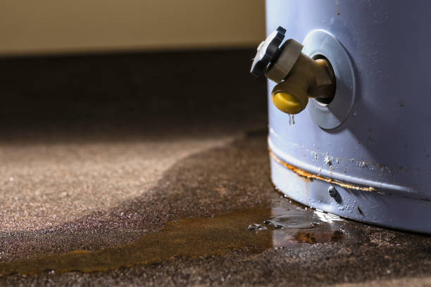 Best Water damage contractors near me  in Ampere North, NJ