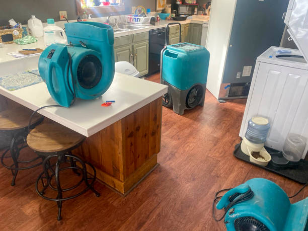 Best Water damage restoration near me  in Ampere North, NJ