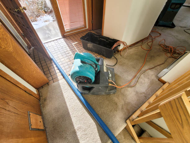 Best Mold removal after water damage  in Ampere North, NJ