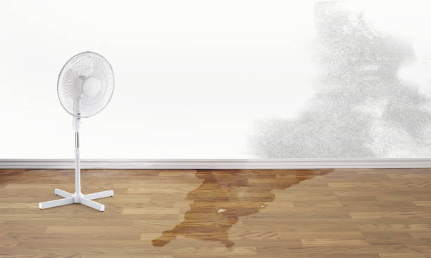 Best Commercial water damage restoration  in Ampere North, NJ