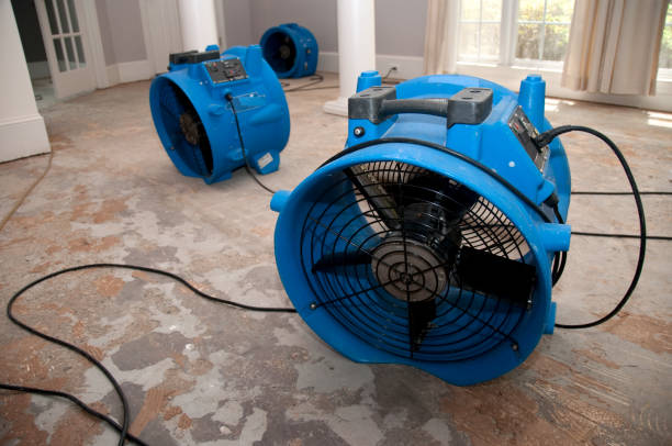 Best Fire Damage Restoration  in Ampere North, NJ