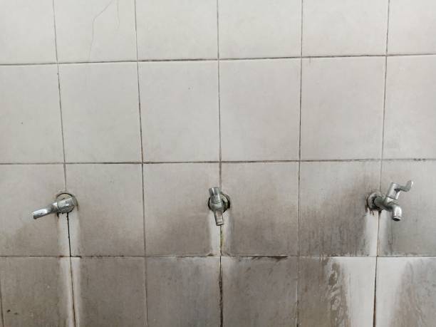 Best Local water damage restoration  in Ampere North, NJ