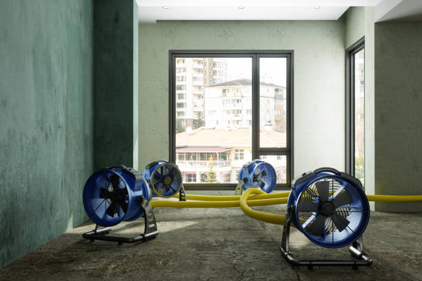 Best Local water damage restoration  in Ampere North, NJ