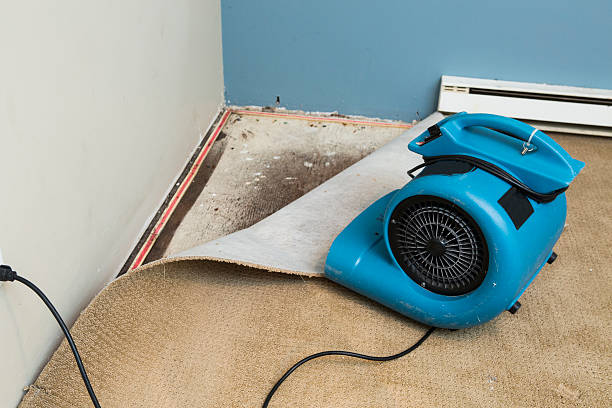 Best Water damage mitigation services  in Ampere North, NJ